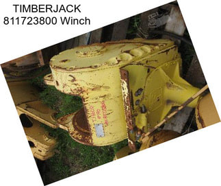 TIMBERJACK 811723800 Winch