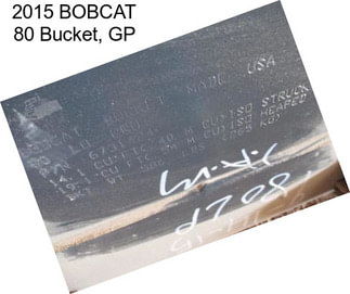 2015 BOBCAT 80 Bucket, GP