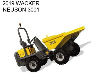 2019 WACKER NEUSON 3001