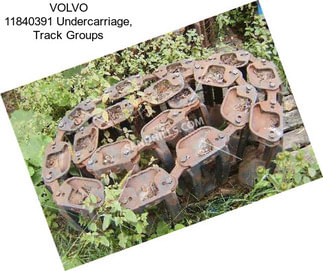 VOLVO 11840391 Undercarriage, Track Groups