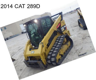 2014 CAT 289D