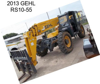 2013 GEHL RS10-55