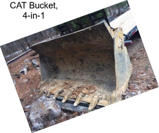 CAT Bucket, 4-in-1