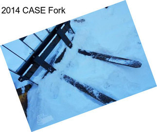 2014 CASE Fork