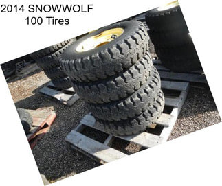 2014 SNOWWOLF 100 Tires