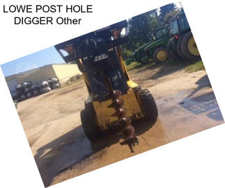 LOWE POST HOLE DIGGER Other