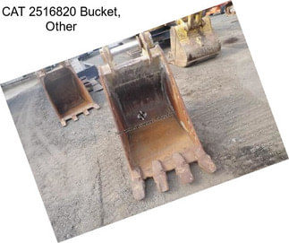 CAT 2516820 Bucket, Other