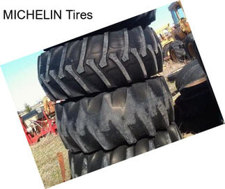 MICHELIN Tires