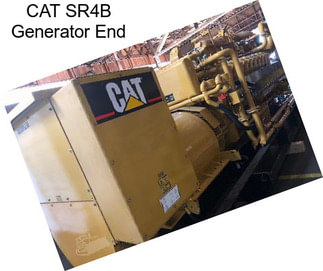 CAT SR4B Generator End