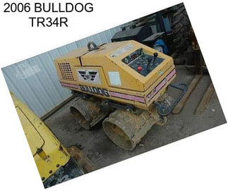 2006 BULLDOG TR34R