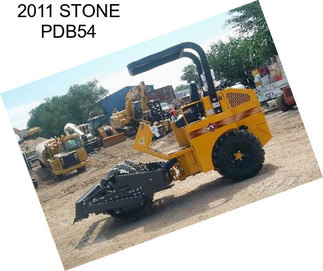 2011 STONE PDB54