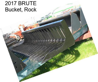 2017 BRUTE Bucket, Rock