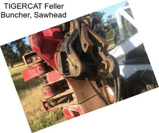 TIGERCAT Feller Buncher, Sawhead