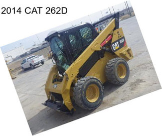 2014 CAT 262D