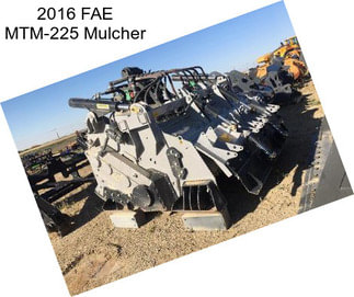 2016 FAE MTM-225 Mulcher