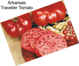 Arkansas Traveller Tomato