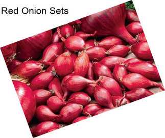 Red Onion Sets