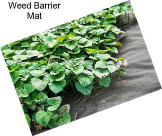 Weed Barrier Mat