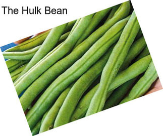 The Hulk Bean