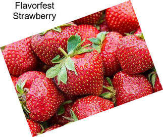 Flavorfest Strawberry