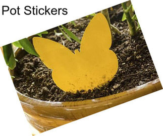 Pot Stickers