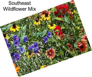Southeast Wildflower Mix