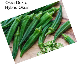 Okra-Dokra Hybrid Okra
