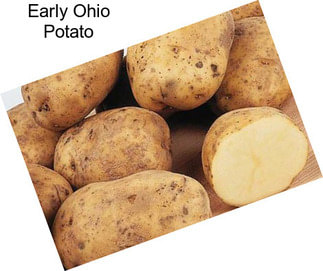 Early Ohio Potato