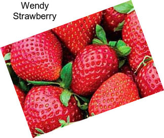 Wendy Strawberry