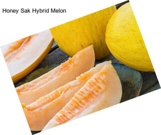 Honey Sak Hybrid Melon
