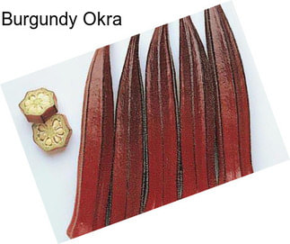 Burgundy Okra