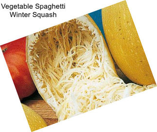 Vegetable Spaghetti Winter Squash