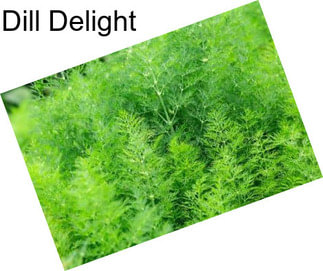 Dill Delight