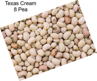 Texas Cream 8 Pea