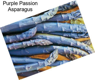 Purple Passion Asparagus