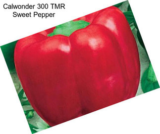 Calwonder 300 TMR Sweet Pepper