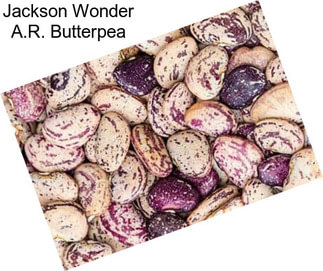 Jackson Wonder A.R. Butterpea