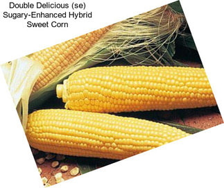 Double Delicious (se) Sugary-Enhanced Hybrid Sweet Corn
