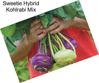 Sweetie Hybrid Kohlrabi Mix