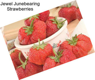 Jewel Junebearing Strawberries