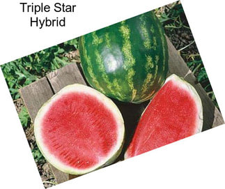 Triple Star Hybrid