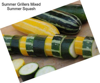 Summer Grillers Mixed Summer Squash