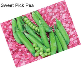 Sweet Pick Pea