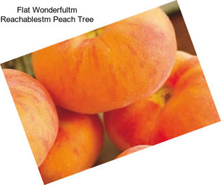 Flat Wonderfultm Reachablestm Peach Tree