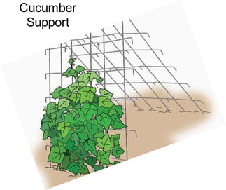 Cucumber Support