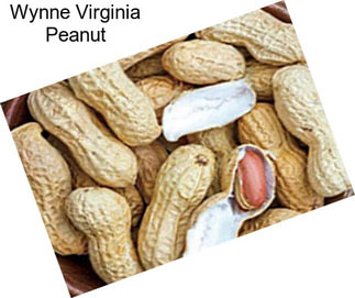 Wynne Virginia Peanut