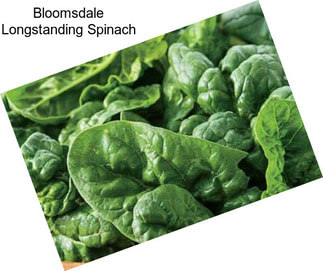 Bloomsdale Longstanding Spinach