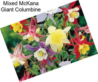 Mixed McKana Giant Columbine