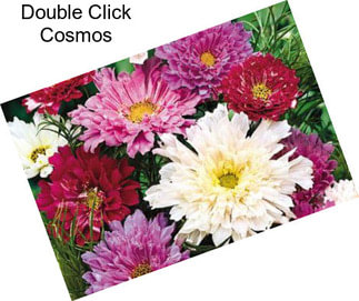 Double Click Cosmos