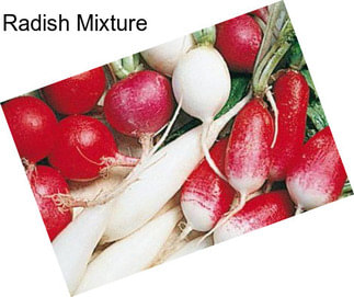 Radish Mixture